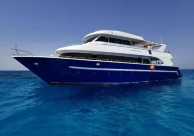 Discover Hurghada in Style: Why Our Tours are a Must-Book Experience